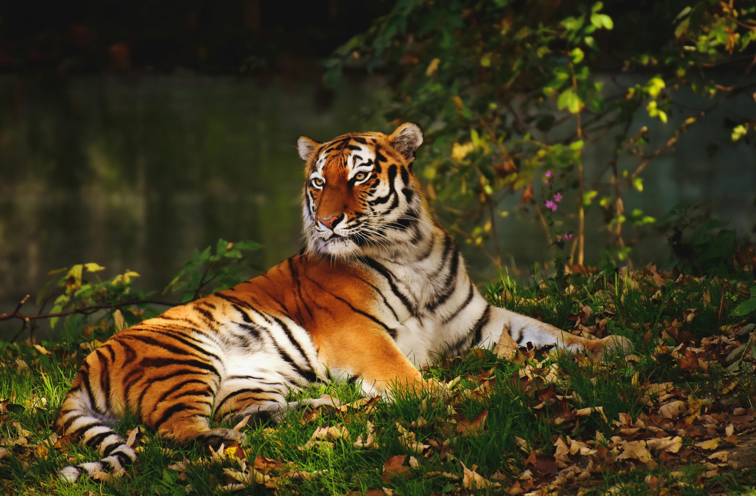 Careers explored: Working with animals - Educate magazine