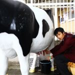 The Big Bang North West 2015