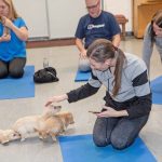Puppies enjoyed the yoga as much as the staff