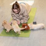 Not one, not two, but three puppies with a member of staff