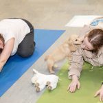 The puppies were enamored by the staff as much as the staff were enamored by them