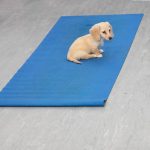 A puppy sits peacefully on a yoga mat