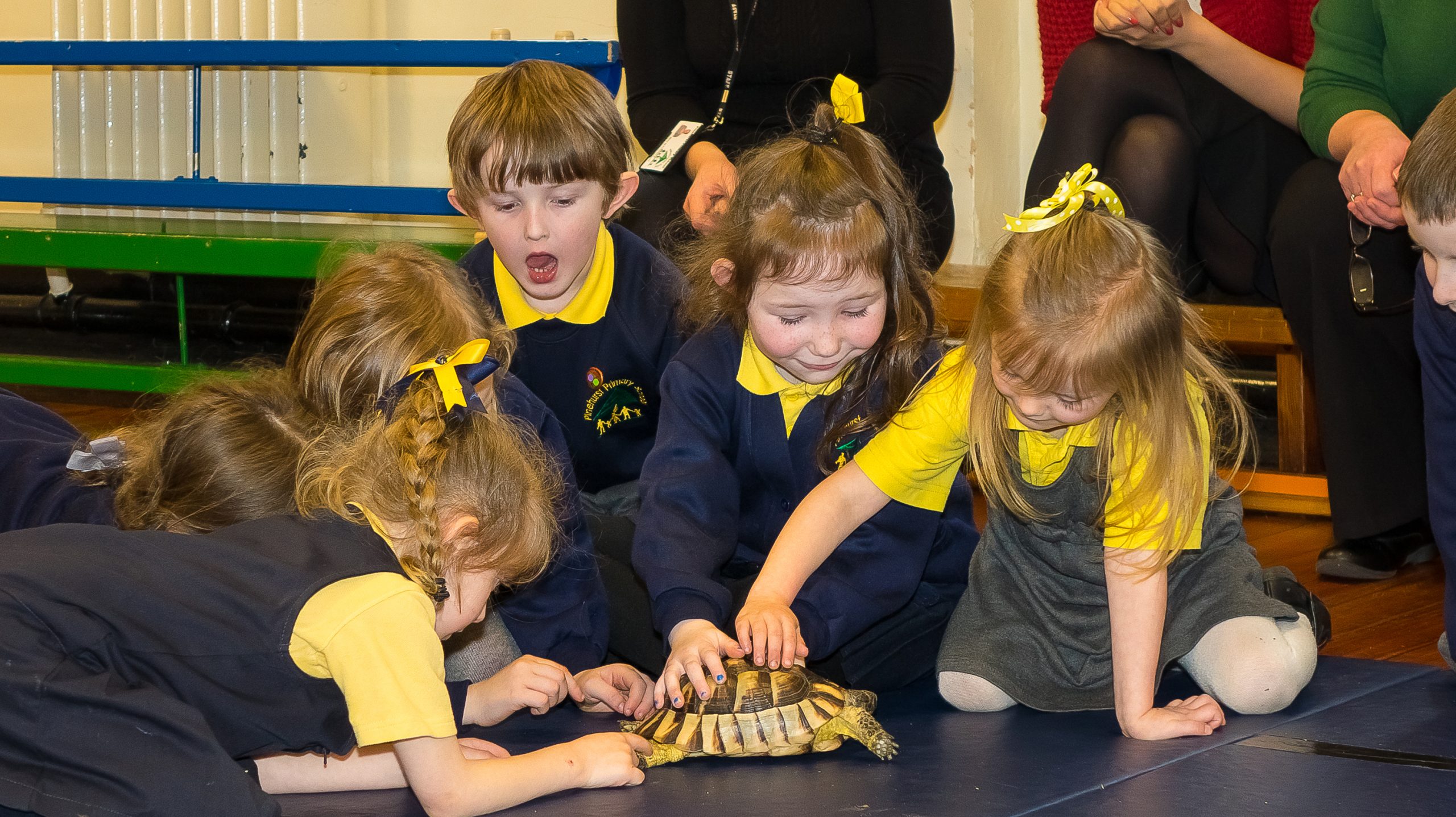 Science day - Educate magazine