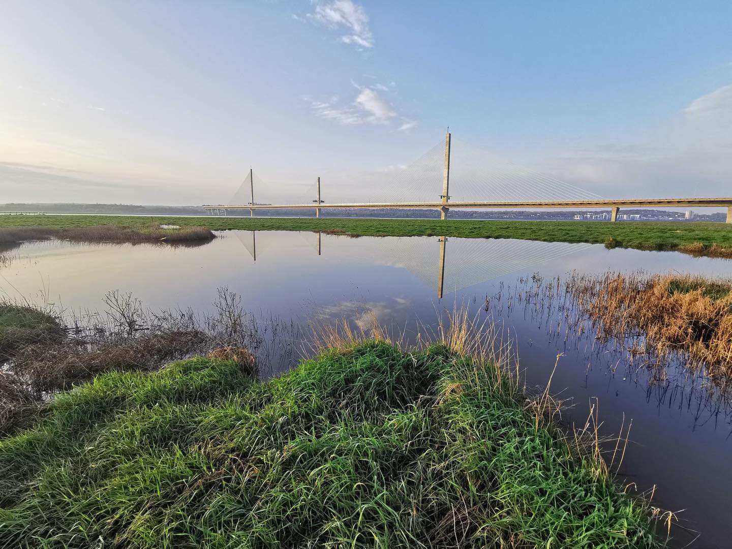 Grassland surrounded by water