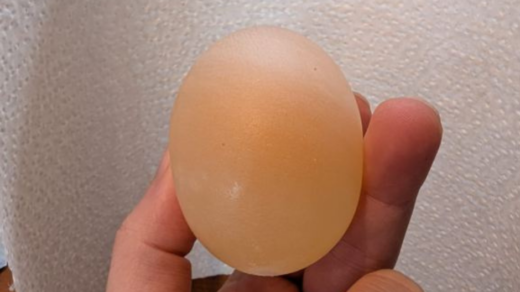 Egg‑citing chemistry experiments for families to try at home this Easter